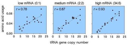 tRNA_aa_3_90c